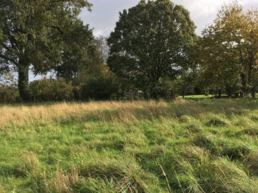 Terrain a batir a vendre Servon-sur-Vilaine 35530 Ille-et-Vilaine 6041 m2  157800 euros