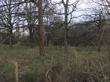 Terrains de loisirs bois etangs a vendre Piré-Chancé 35150 Ille-et-Vilaine 27100 m2  26980 euros