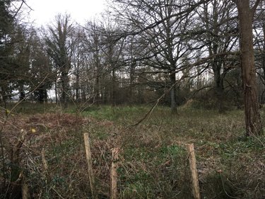 Terrains de loisirs bois etangs a vendre Piré-Chancé 35150 Ille-et-Vilaine 27100 m2  26980 euros