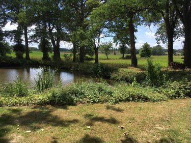 Maison a vendre Brie 35150 Ille-et-Vilaine 154 m2 5 pièces 416800 euros