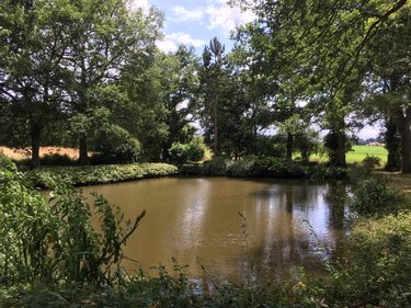 Maison a vendre Brie 35150 Ille-et-Vilaine 154 m2 5 pièces 416800 euros