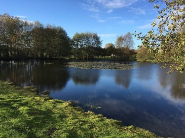 Terrains de loisirs bois etangs a vendre Le Theil-de-Bretagne 35240 Ille-et-Vilaine 19100 m2  37580 euros