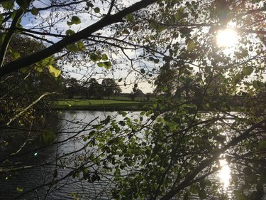 Terrains de loisirs bois etangs a vendre Le Theil-de-Bretagne 35240 Ille-et-Vilaine 19100 m2  37580 euros