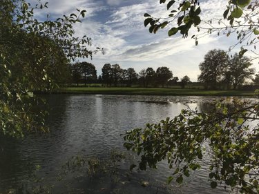 Terrains de loisirs bois etangs a vendre Le Theil-de-Bretagne 35240 Ille-et-Vilaine 19100 m2  37580 euros