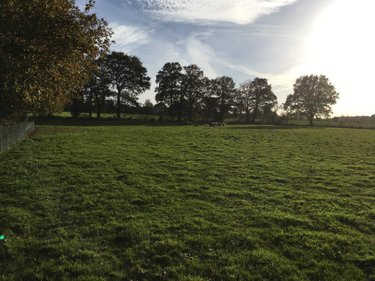 Terrains de loisirs bois etangs a vendre Le Theil-de-Bretagne 35240 Ille-et-Vilaine 19100 m2  37580 euros