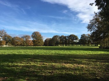 Terrains de loisirs bois etangs a vendre Le Theil-de-Bretagne 35240 Ille-et-Vilaine 19100 m2  37580 euros