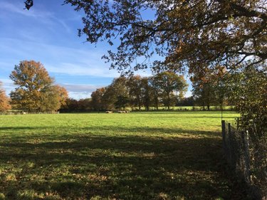 Terrains de loisirs bois etangs a vendre Le Theil-de-Bretagne 35240 Ille-et-Vilaine 19100 m2  37580 euros