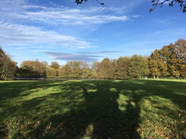 Terrains de loisirs bois etangs a vendre Le Theil-de-Bretagne 35240 Ille-et-Vilaine 19100 m2  37580 euros