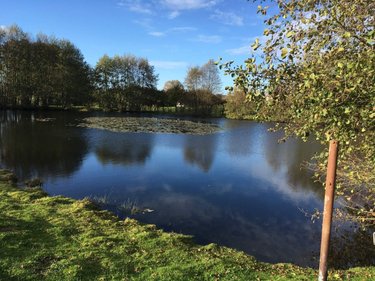 Terrains de loisirs bois etangs a vendre Le Theil-de-Bretagne 35240 Ille-et-Vilaine 19100 m2  37580 euros