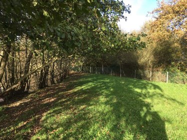 Terrains de loisirs bois etangs a vendre Le Theil-de-Bretagne 35240 Ille-et-Vilaine 19100 m2  37580 euros