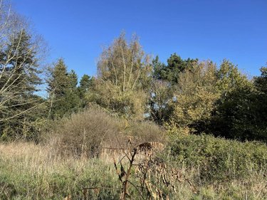 Maison a vendre Lalleu 35320 Ille-et-Vilaine 276 m2 10 pièces 183700 euros