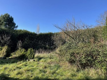 Maison a vendre Lalleu 35320 Ille-et-Vilaine 276 m2 10 pièces 183700 euros