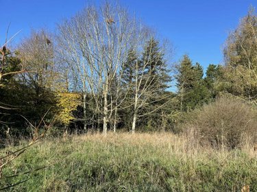 Maison a vendre Lalleu 35320 Ille-et-Vilaine 276 m2 10 pièces 183700 euros