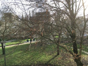 Appartement a vendre Rennes 35000 Ille-et-Vilaine 49 m2 2 pièces 121540 euros