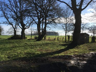 Maison a vendre Piré-Chancé 35150 Ille-et-Vilaine 123 m2 5 pièces 313200 euros