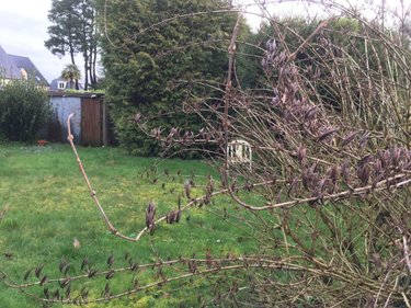 Maison a vendre Janzé 35150 Ille-et-Vilaine 75 m2 5 pièces 147440 euros