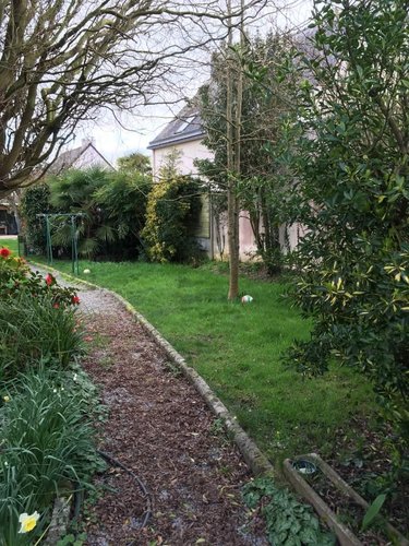 Location maison Janzé 35150 Ille-et-Vilaine 71 m2 4 pièces 720 euros