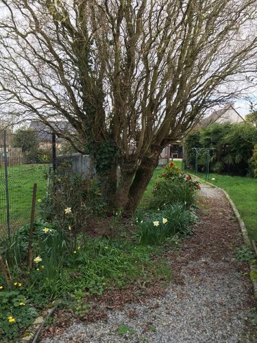 Location maison Janzé 35150 Ille-et-Vilaine 71 m2 4 pièces 720 euros