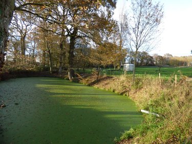 Maison a vendre Crevin 35320 Ille-et-Vilaine 126 m2 6 pièces 414000 euros