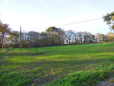 Maison a vendre Crevin 35320 Ille-et-Vilaine 126 m2 6 pièces 372600 euros
