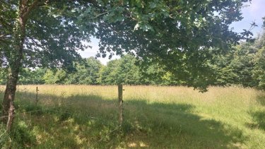 Maison a vendre Ercé-en-Lamée 35620 Ille-et-Vilaine 50 m2 3 pièces 45000 euros