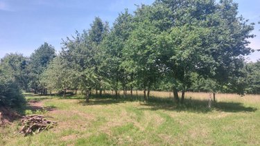 Maison a vendre Ercé-en-Lamée 35620 Ille-et-Vilaine 50 m2 3 pièces 45000 euros