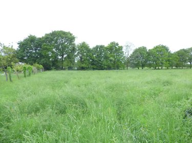 Terrain a batir a vendre Guipry-Messac 35480 Ille-et-Vilaine 499 m2  36000 euros