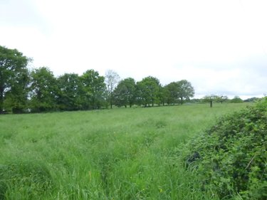 Terrain a batir a vendre Guipry-Messac 35480 Ille-et-Vilaine 499 m2  36000 euros