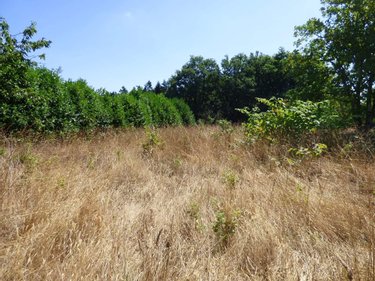 Terrain a batir a vendre Pancé 35320 Ille-et-Vilaine 884 m2  34000 euros