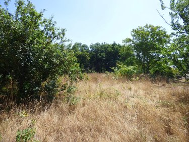 Terrain a batir a vendre Pancé 35320 Ille-et-Vilaine 884 m2  34000 euros
