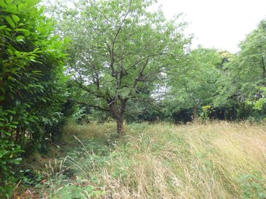 Terrain a batir a vendre Guipry-Messac 35480 Ille-et-Vilaine 1070 m2  50000 euros