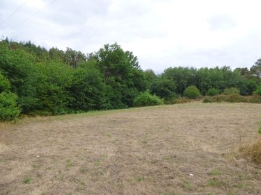 Maison a vendre Saint-Ganton 35550 Ille-et-Vilaine 90 m2 5 pièces 126000 euros