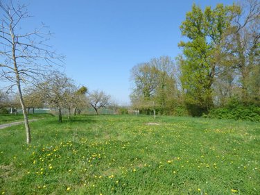 Maison a vendre Chanteloup 35150 Ille-et-Vilaine 65 m2 3 pièces 372600 euros