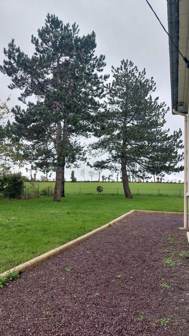 Maison a vendre La Dominelais 35390 Ille-et-Vilaine 83 m2 5 pièces 156000 euros