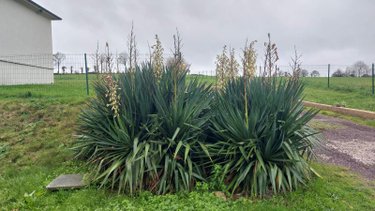 Maison a vendre La Dominelais 35390 Ille-et-Vilaine 83 m2 5 pièces 156000 euros