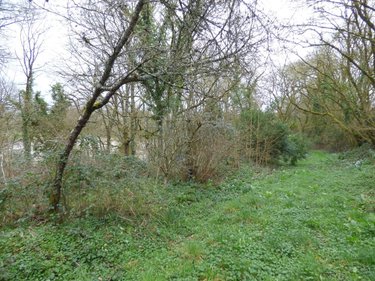 Maison a vendre Ercé-en-Lamée 35620 Ille-et-Vilaine 75 m2 3 pièces 146000 euros