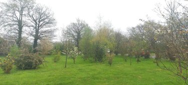 Maison a vendre La Dominelais 35390 Ille-et-Vilaine 115 m2 5 pièces 199000 euros