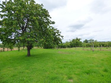 Maison a vendre Tresboeuf 35320 Ille-et-Vilaine 122 m2 5 pièces 206000 euros