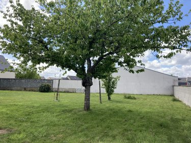 Location maison Saint-Aubin-du-Cormier 35140 Ille-et-Vilaine 71 m2 3 pièces 700 euros