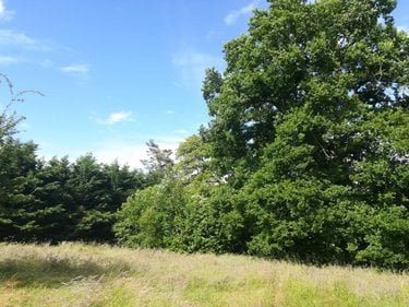 Maison a vendre Chasné-sur-Illet 35250 Ille-et-Vilaine 150 m2 6 pièces 292600 euros