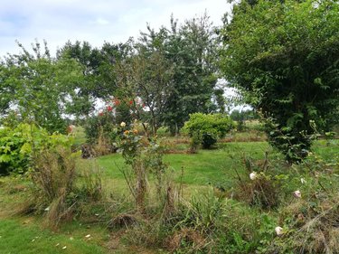 Maison a vendre Saint-Léger-des-Prés 35270 Ille-et-Vilaine 77 m2 4 pièces 136500 euros