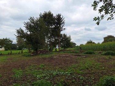 Maison a vendre Parcé 35210 Ille-et-Vilaine 80 m2 4 pièces 102900 euros