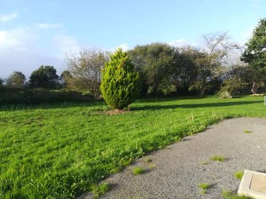 Maison a vendre Livré-sur-Changeon 35450 Ille-et-Vilaine 60 m2 3 pièces 138075 euros