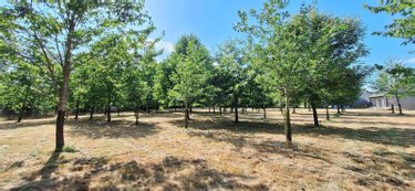 Maison a vendre Saint-Rémy-du-Plain 35560 Ille-et-Vilaine 144 m2 5 pièces 303050 euros