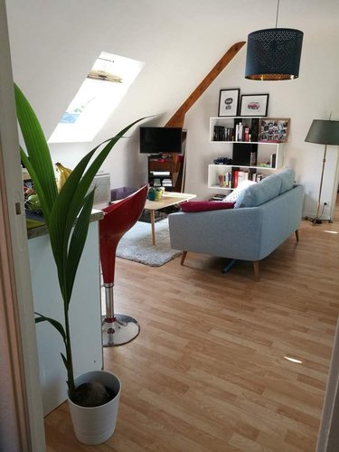 Location appartement 35 Ille-et-Vilaine 44 m2 2 pièces 490 euros