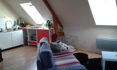 Location appartement 35 Ille-et-Vilaine 44 m2 2 pièces 490 euros