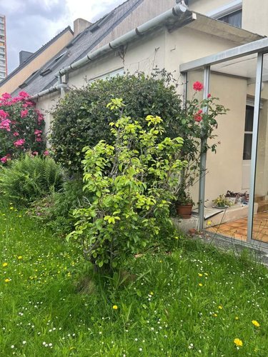 Maison a vendre Rennes 35000 Ille-et-Vilaine 94 m2 5 pièces 411787 euros