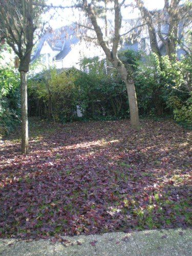 Location maison La Riche 37520 Indre-et-Loire 61 m2 3 pièces 845 euros