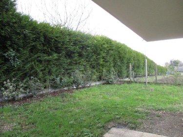 Location appartement Joué-lès-Tours 37300 Indre-et-Loire 46 m2 2 pièces 600 euros