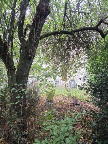Maison a vendre Tours 37000 Indre-et-Loire 76 m2 4 pièces 157200 euros